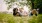 2 people laying down in some grass